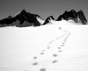 Foot prints in the snow. Don't walk alone. Find the help you need with trauma counseling servies, family counseling, anxiety therapy, mood disorder counseling